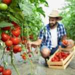 Agriculture Matters to the Future of World