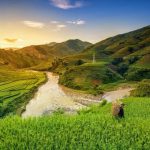 Integer imperdiet lacus ut enim porta founders